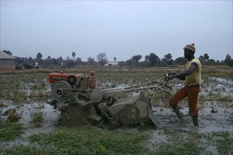 GAMBIA, Agriculture, Man working with Rotavator. Sapu rice scheme.
