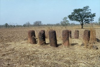 GAMBIA, Wassu, Standing Stones