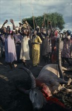 SUDAN, Tribal People, Dinka tribespeople dancing with arms raised to simulate cow ( women ) or bull