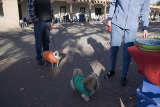 USA, New Mexico, Santa Fe, Two people out walking dogs on leads and standing beside a crafts stall
