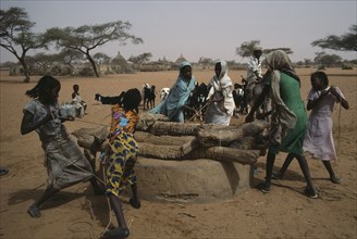 SUDAN, Kordofan, North, Women and children drawing water from well with goat herd in barren