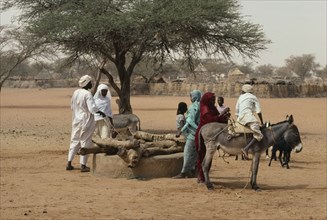 SUDAN, Kordofan, North, Using donkey to help draw water from well.