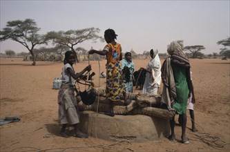 SUDAN, Kordofan, North, Women and young girls drawing water from well in desert area with goat herd