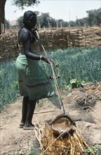 SUDAN, Mornei Settlement, Chadian refugee woman irrigating vegetable plot in wadi during the dry