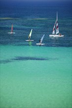 SPAIN, Balearic Islands, Ibiza, "Wind surfing at Platja des Pujols, Formentera."