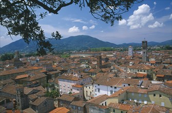 ITALY, Tuscany, Lucca, View across red tiled rooftops of town part framed by tree branches.