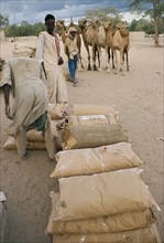 NIGER, People, Work, Drought relief milk powder being transported by camel train of 300 rather than