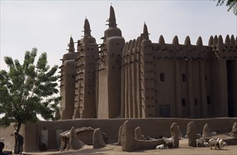 MALI, Sahel, Djenne, The Grand Mosque.  Mud plastered exterior with sheep lying in shade of walls
