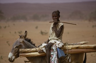 NIGER, People, Children, Young boy on donkey carrying wooden stakes near Bouza.
