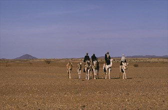 NIGER, Transport, Animals, Tuaregs on camels in desert landscape.