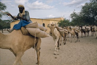 NIGER, Sahel, Loaded camel train