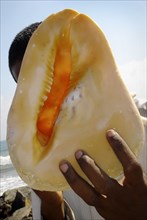 INDIA, Tamil Nadu, Mahabalipuram Beach, A 23-year-old engineering student and part-time sea-shell