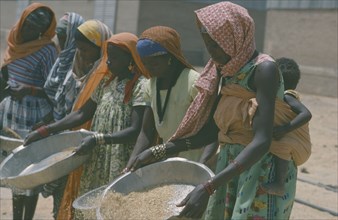 SUDAN, Agriculture, Nigerian women winnowing rice.