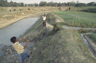 BANGLADESH, Dinajpur, Men operating irrigation system incorporating manual swing basket.