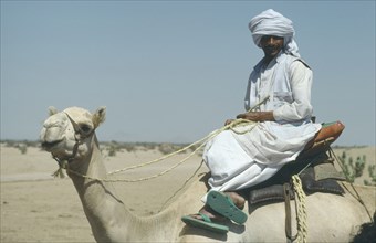 SUDAN, Red Sea Hills Prov., Transport, Cropped shot of Ababda nomad man on camel.