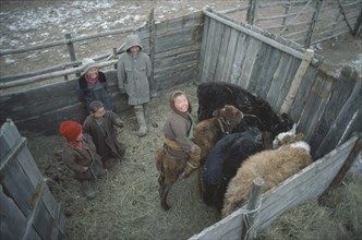 MONGOLIA, Children, Looking down on children playing in calf pen.