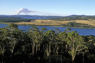 AUSTRALIA, Tasmania, Tamar Valley, Looking north from Brady's Lookout State Reserve towards the