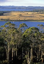AUSTRALIA, Tasmania, Tamar Valley, "Looking north from Brady's Lookout State Reserve across the