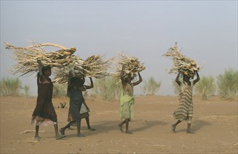 SUDAN, North Kordofan Province, Women carrying bundles of firewood on their heads.