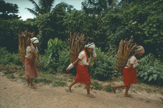 THAILAND, Chiang Mai Province , Red Karen tribeswomen carrying baskets of firewood.