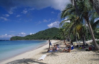 BRITISH VIRGIN IS, Tortola, Occupied sandy beach with overhanging palm trees
