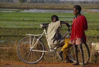 BURKINA  FASO, Bobo Dioulassou, Two boys with a bicycle stopped to talk beside paddy field.