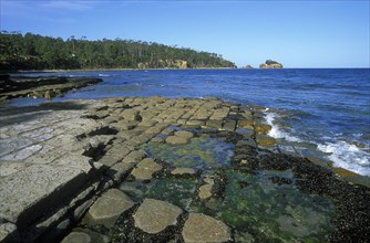 AUSTRALIA, Tasmania, "Tessallated Pavement, a wave-cut platform of horizontal strata on the