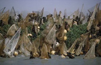 NIGERIA, North, Argungu, Fishing Festival.  Mass of men and nets at climax of three day festival.
