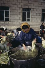 NORTH KOREA, Pyongyang, Women preparing Kimqi the national pickled cabbage dish