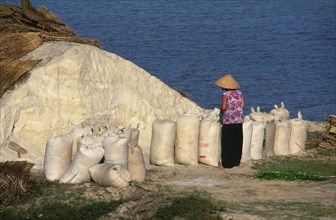 VIETNAM, Nha Trang, "Salt being put in sacks, North of the fishing port and resort."