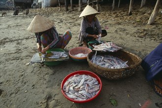 VIETNAM, Nha Trang, Woman cleaning squid at the Cau Dau fishing village at the South end of the