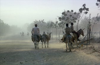 NIGERIA, Bouza, Desertification.  People and donkeys on road in dust storm.