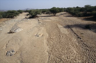 ERITREA, Environment, Drought, Dried up river bed.