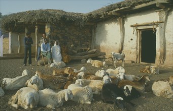 ERITREA, Seraye Province, Sheep farmer and family outside home in remote village with flock in