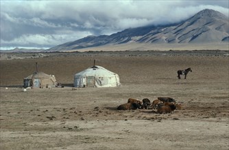 MONGOLIA, Gobi Desert , Typical poor herders yurts on northern edge of the Gobi with cattle in