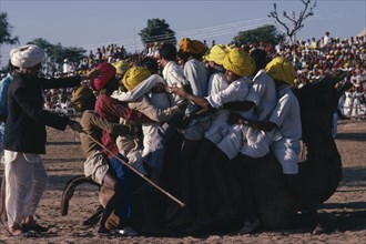 INDIA, Rajasthan, Pushkar, Competition at camel fair to fit as many as possible on to a camel.