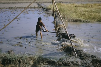 VIETNAM, Farming, Young boy operating irrigation device in rice paddies.