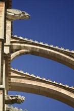 SPAIN, Balearic Islands, Mallorca, "Palma de Mallorca,  Detail of The Cathedral including gargoyles