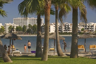 SPAIN, Balearic Islands, Mallorca, "Port d'Alcudia,  View of the beach through palm trees."