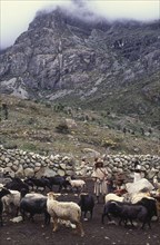 COLOMBIA, Santa Marta, Sierra Nevada , "Ica family with sheep in coral, rocks and mountain in the