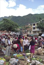 COLOMBIA, Bucaramanga, "A busy Saturday market, people buying fruit and vegetables."
