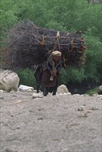 PAKISTAN, North West Frontier Province, Chitral, Hill dwellers carrying brush wood.