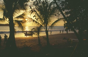 COSTA RICA, Puntarenas Province, Manuel Antonio , View from beach at sunset through palm trees