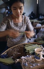 MYANMAR, Bago, Young female worker rolling cheroots by hand inside factory workplace.