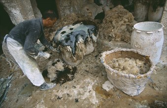 MOROCCO, Fes, Chouwara Tanneries.  Stripping fleece from skins before dyeing.