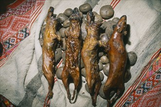 PERU, Andes, Cusco, "Cancha Cancha. Detail of cooked guinea pig and potatoes, traditional Andean