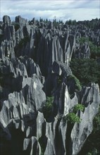 CHINA, Yunnan Province, Shilin, The Stone Forest. Grey limestone rock pinnacles.