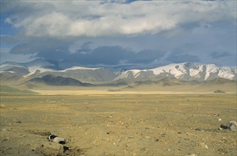 MONGOLIA, Bayan Olgii Province, Open steppe lands near Kazakh inhabited Deluun. Dead animal in a