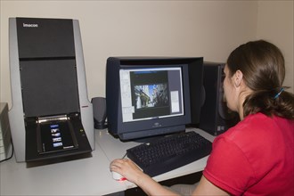 MEDIA , Film, Digital, Female technician scanning analogue slide film with an Imacon scanner