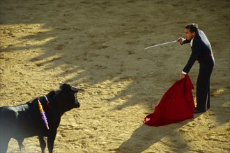 SPAIN, Andalucia, Mijas, Matador with lowered cape face to face with bull in ring.